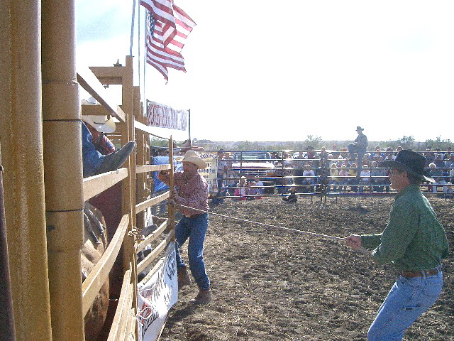 Bull Riding