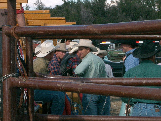 Bull Riding