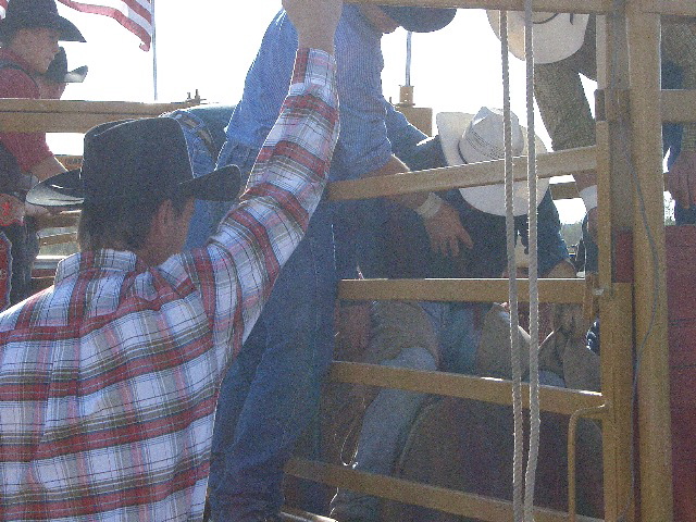 Bull Riding