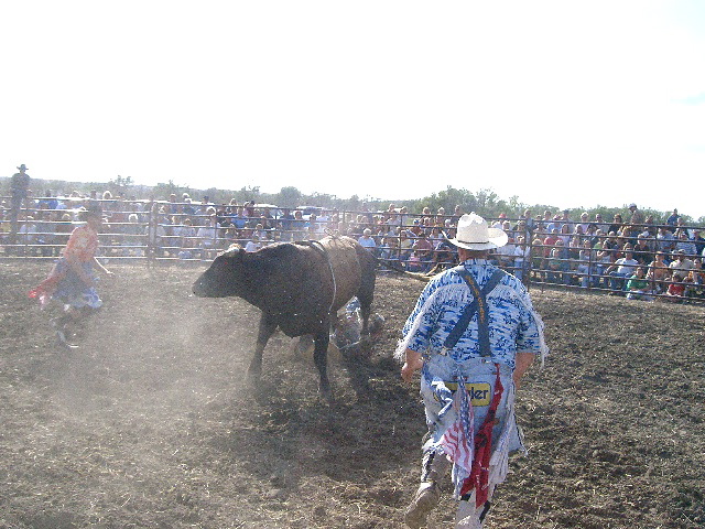 Bull Riding