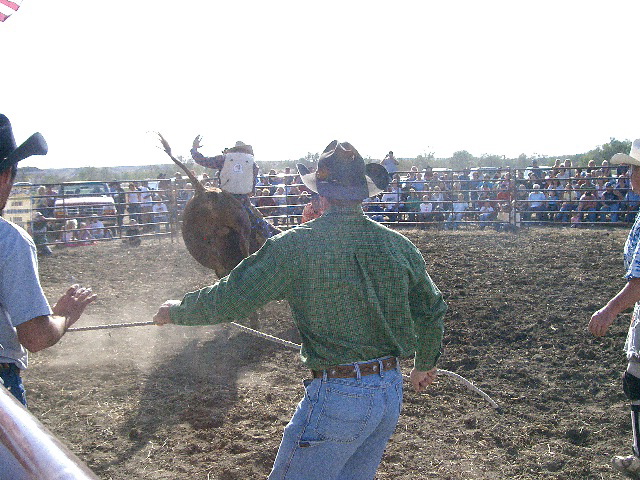 Bull Riding