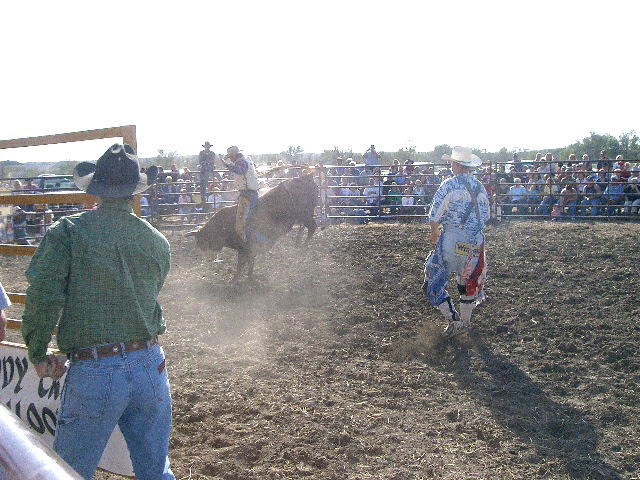 Bull Riding