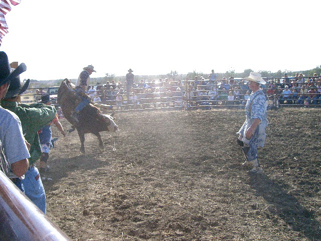 Bull Riding