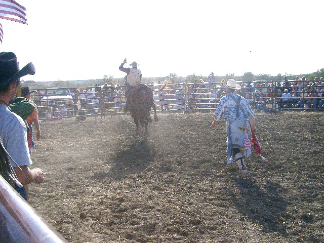 Bull Riding