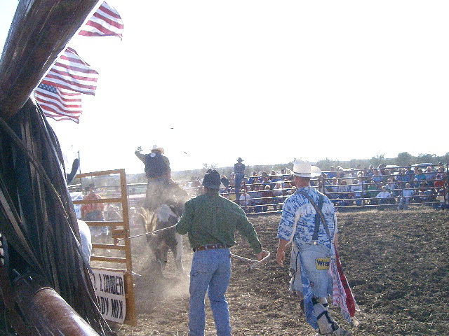 Bull Riding