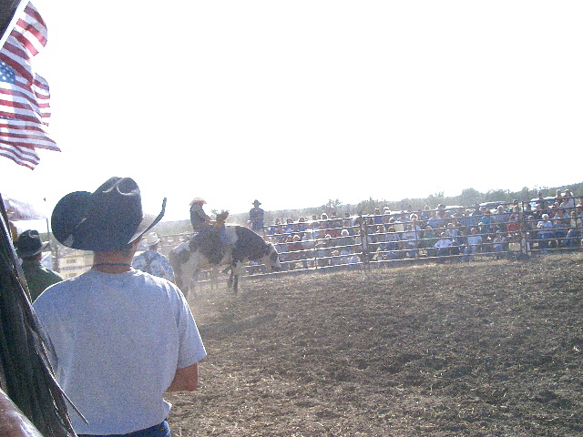 Bull Riding