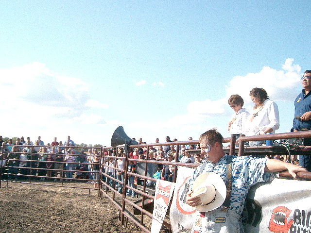 Bull Riding