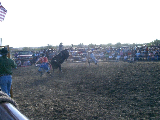 Bull Riding