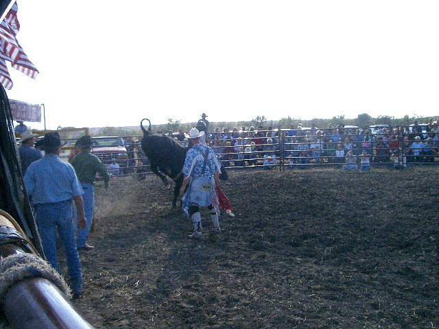 Bull Riding