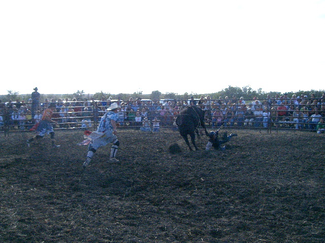 Bull Riding