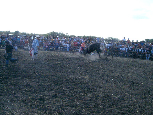 Bull Riding