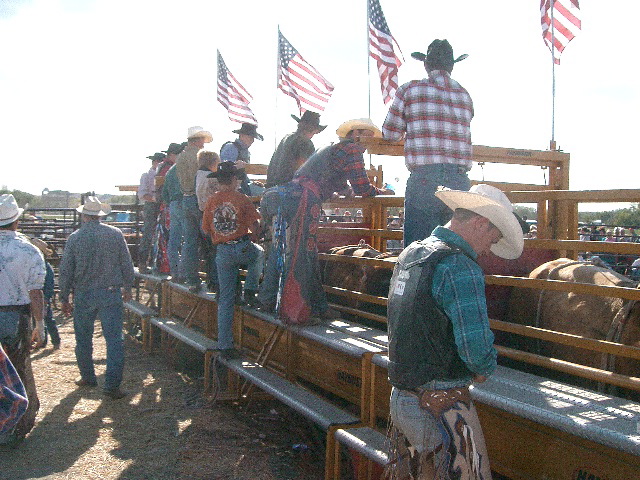 Bull Riding