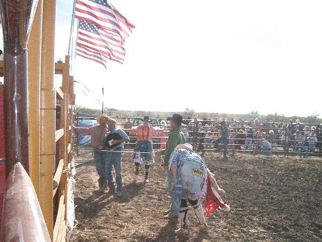 Bull Riding