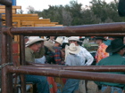 Bull Riding