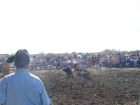 Bull Riding