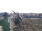 Bull Riding