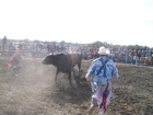 Bull Riding