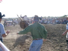 Bull Riding