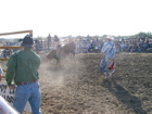 Bull Riding