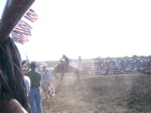 Bull Riding