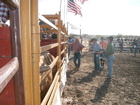 Bull Riding