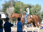 2006 Labor Day Parade